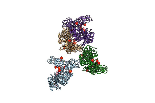 4B4Z image