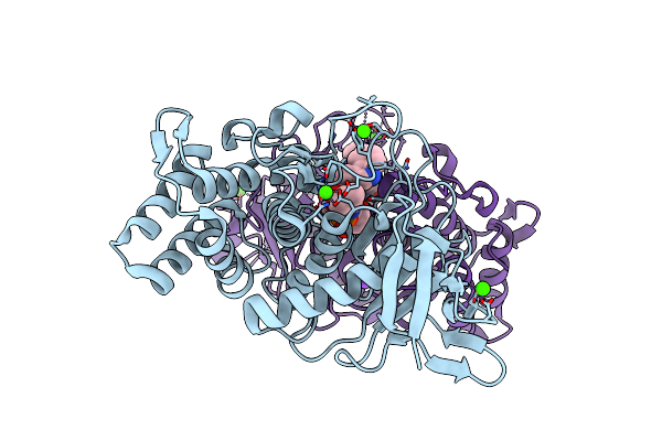 4B52 image