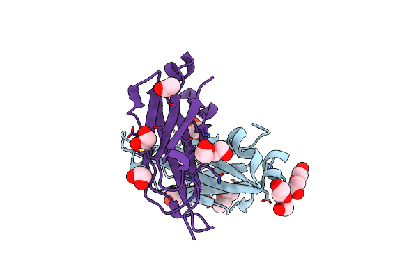 4B53 image