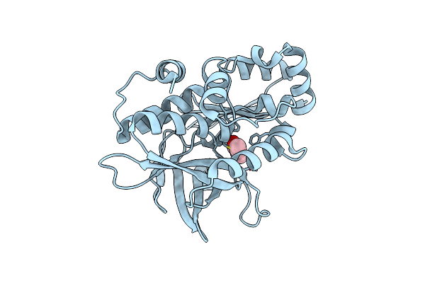 4B55 image