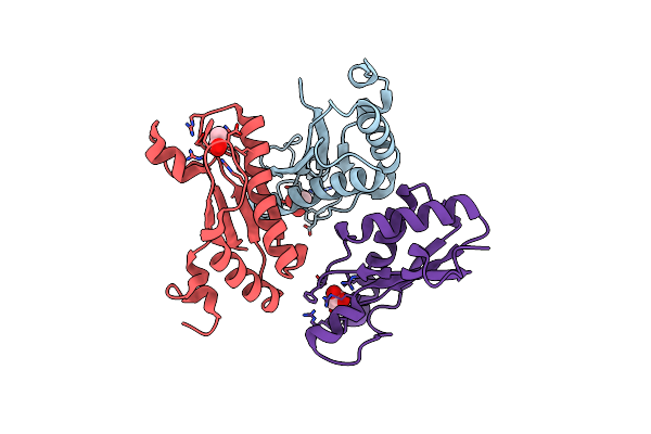 4B5C image