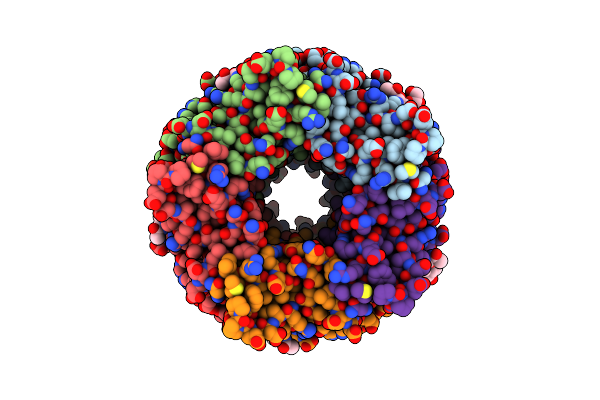4B5D image