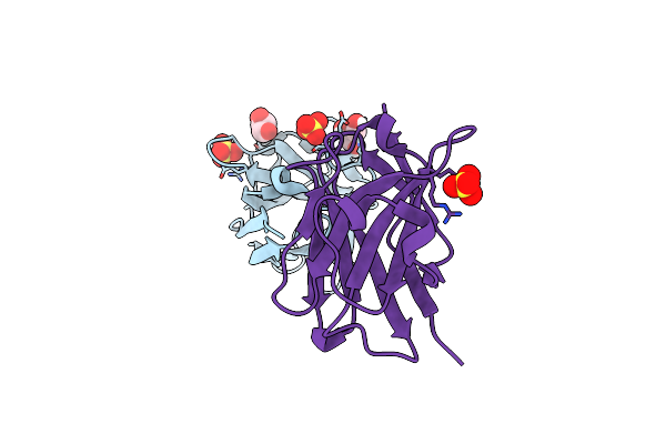 4B5E image