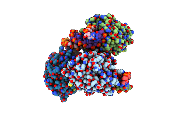 4B5G image