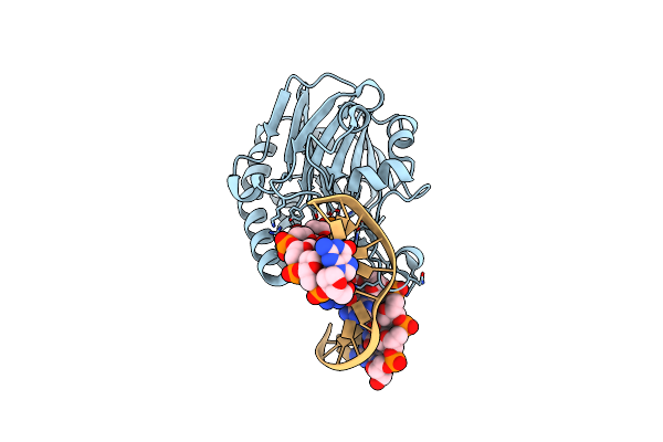 4B5I image