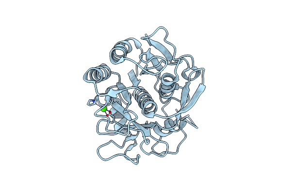 4B5L image