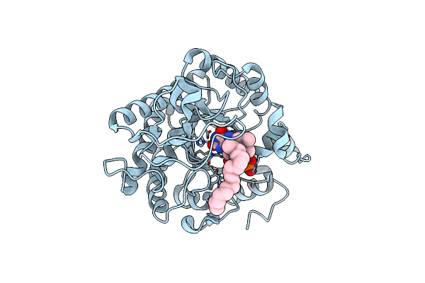 4B5N image