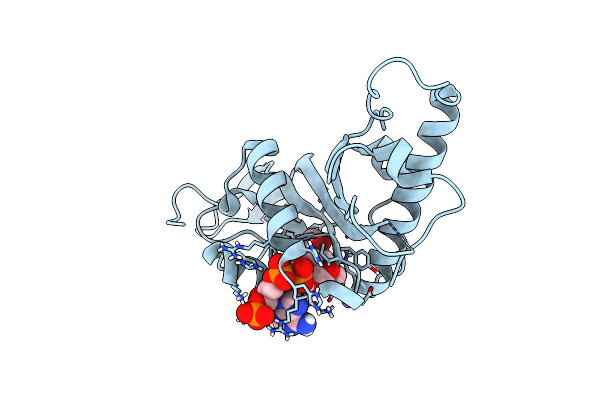 4B5O image