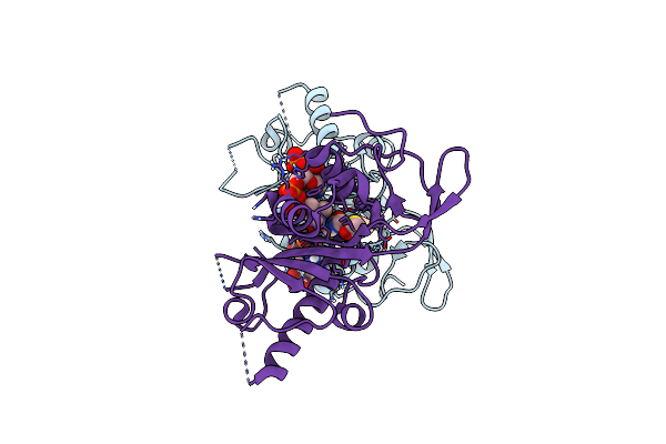 4B5P image