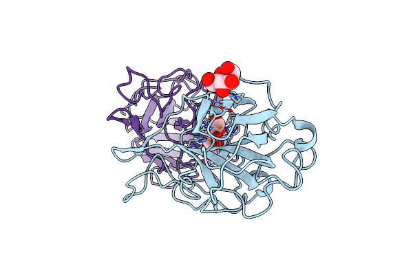 4B5Q image