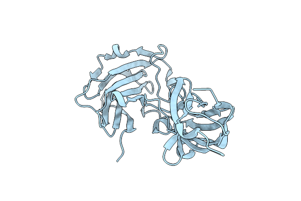 4B5Z image