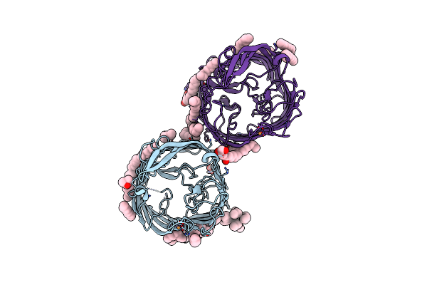 4B61 image