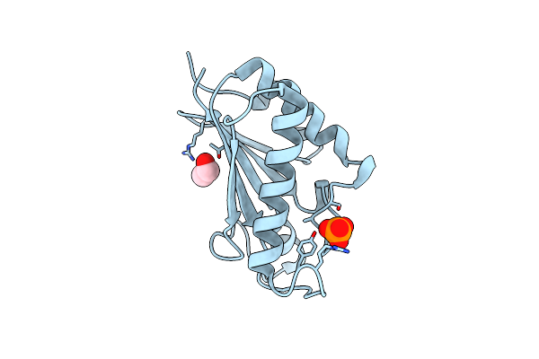 4B62 image