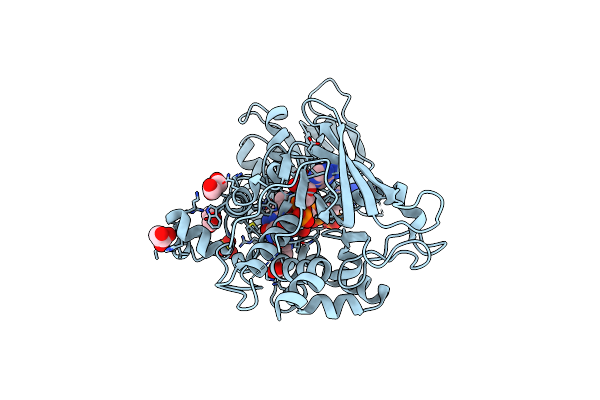 4B63 image
