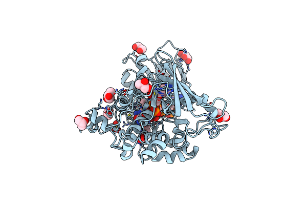 4B64 image