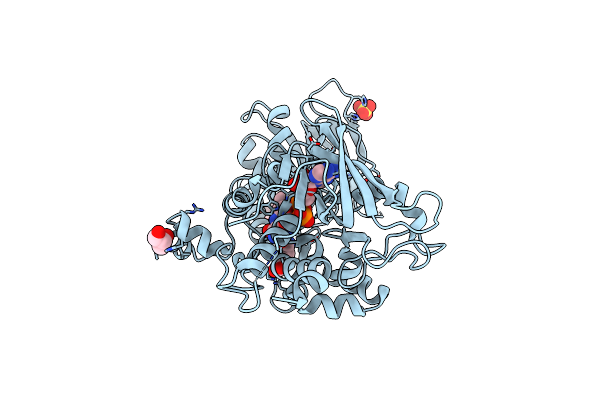 4B69 image