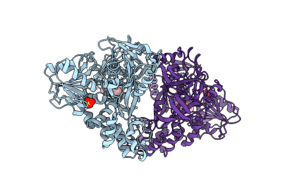 4B6F image
