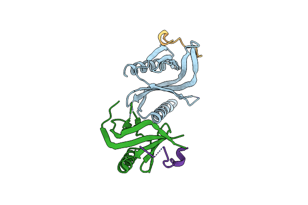 4B6H image