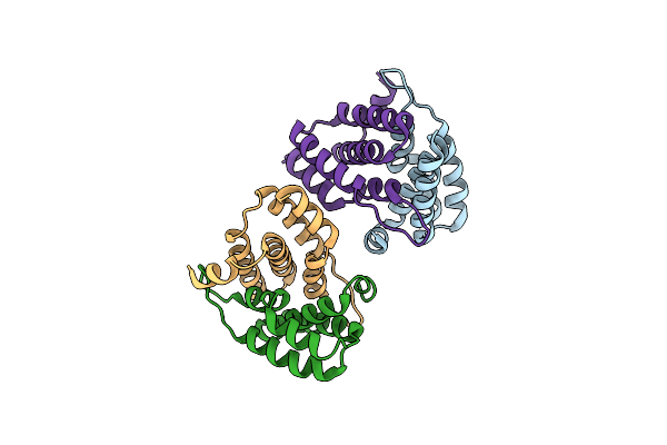 4B6I image