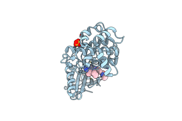 4B6L image