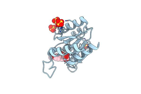 4B6O image