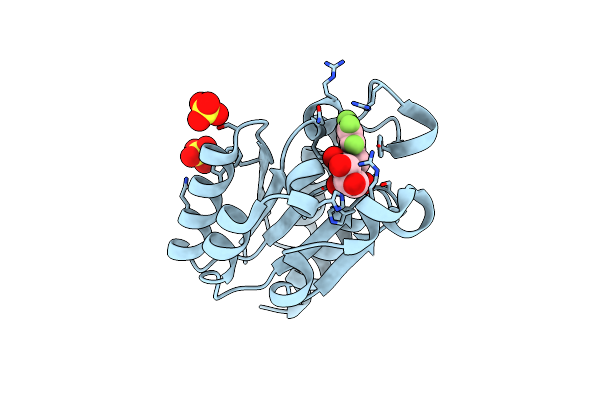 4B6P image