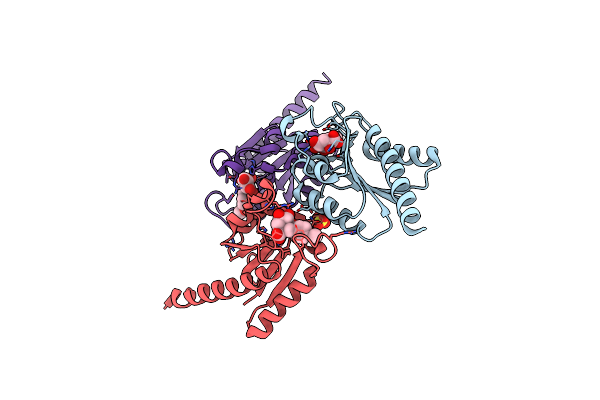 4B6R image