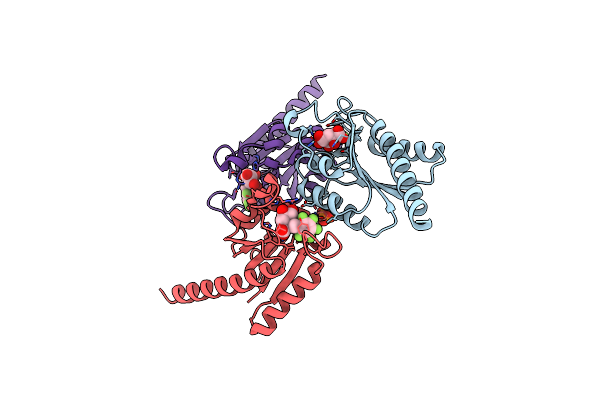 4B6S image