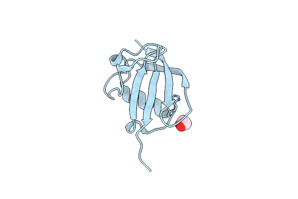 4B6W image