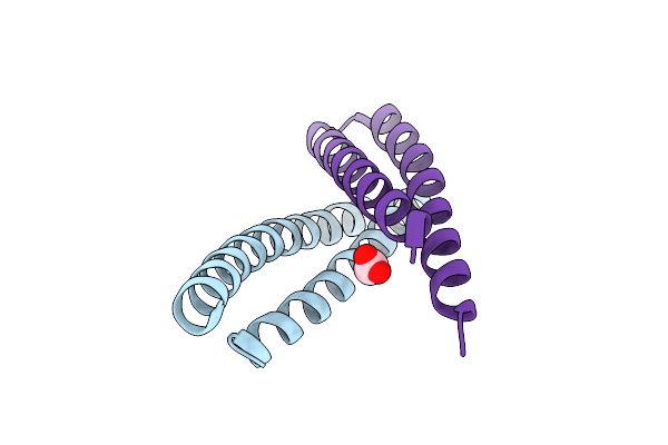 4B6X image