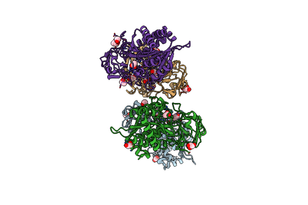 4B6Z image