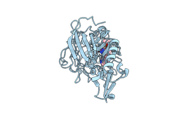 4B77 image