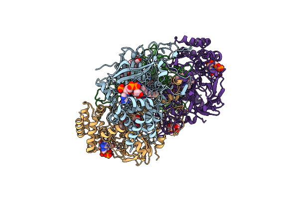 4B7H image