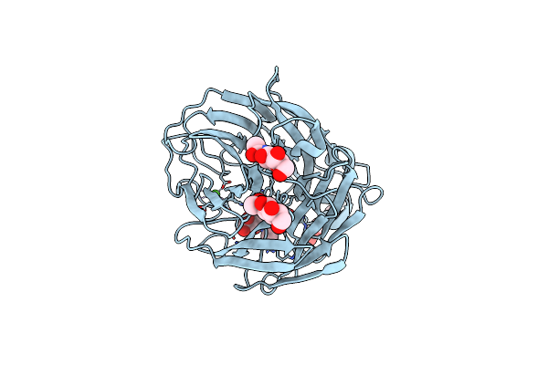 4B7N image