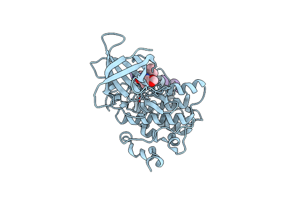 4B7T image