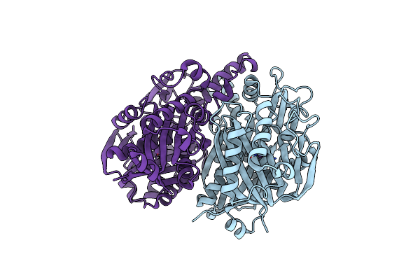 4B7V image