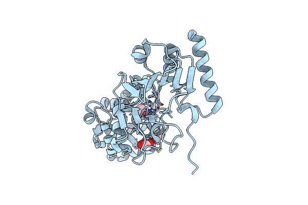 4B87 image