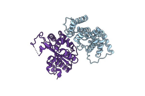 4B8A image