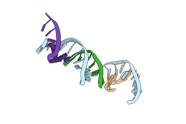4B8D image
