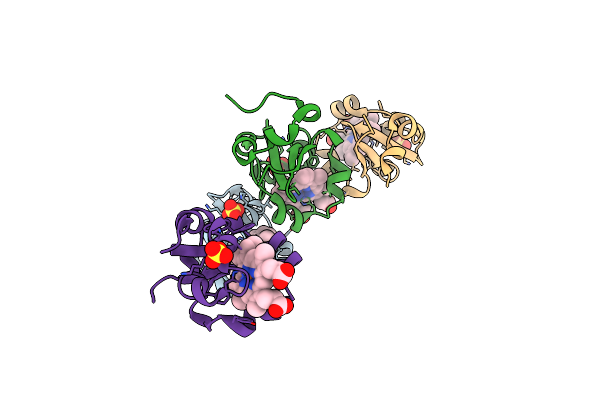 4B8N image