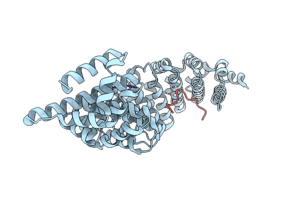 4B8O image
