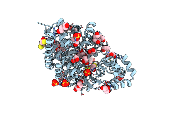 4B8R image