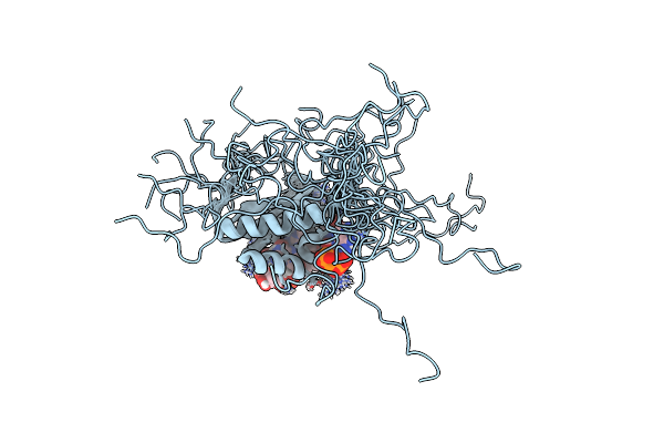 4B8T image