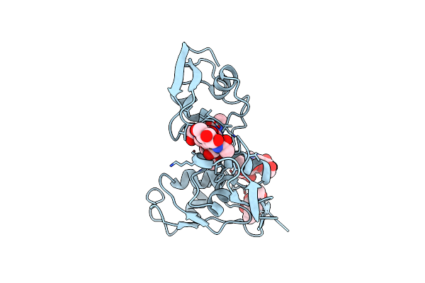 4B8V image
