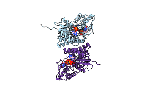4B8W image
