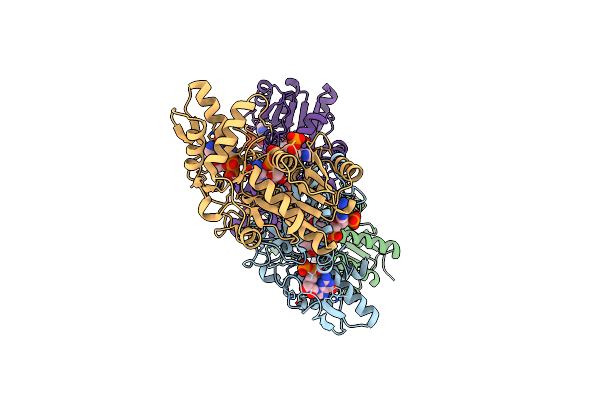 4B8Z image