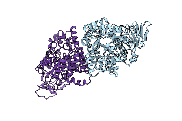 4B91 image