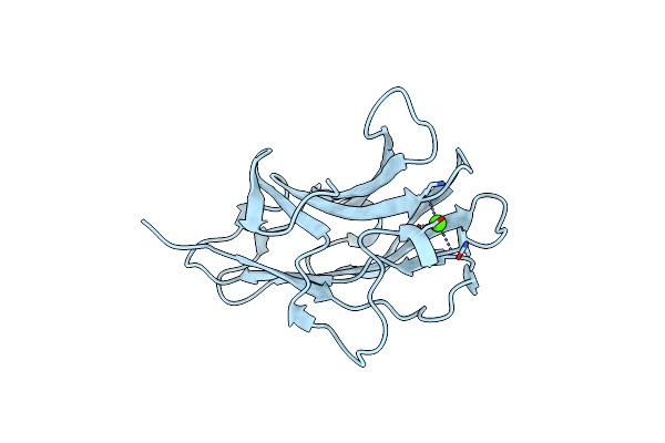 4B96 image