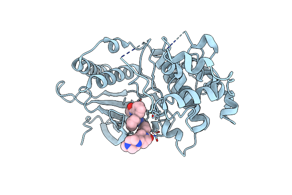 4B99 image