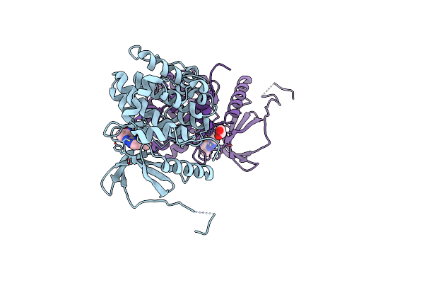 4B9D image